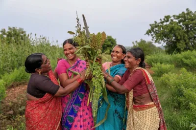 Revival of Indigenous Millet Cultivation in Udaipur