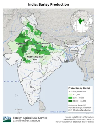 Top 10 Barley-Producing States in India 2024