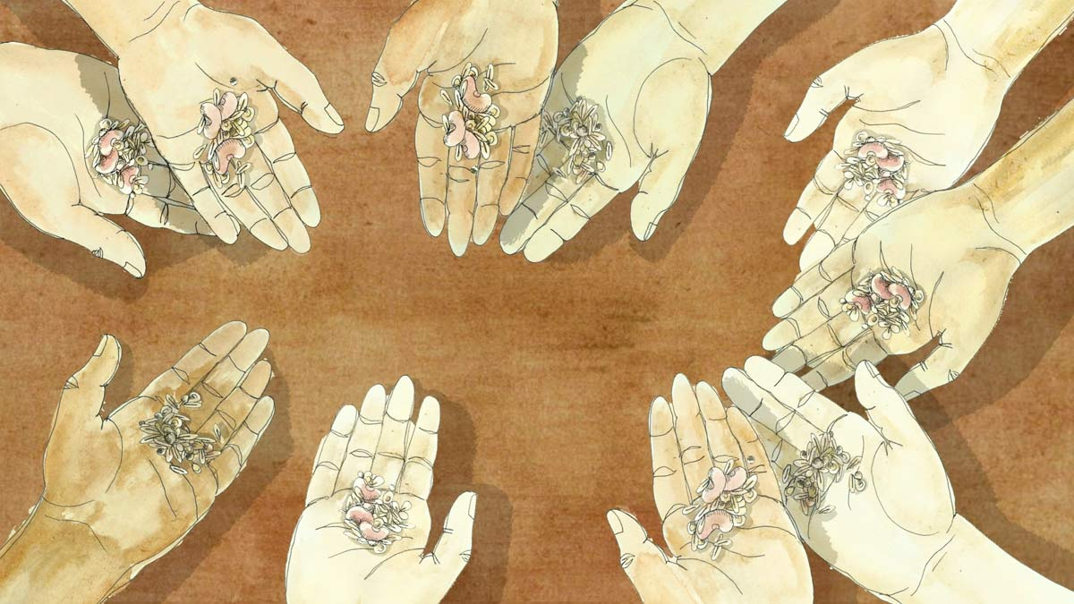 What Is The Open source Seeds Movement 