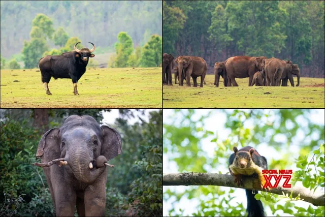 Similipal Officially Declared India's 107th National Park
