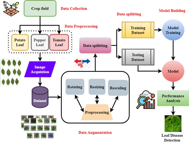 Indian Researchers Develop CLEAR Imaging Technology for Enhanced Disease Diagnosis