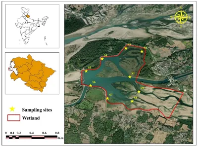 Asian Waterbird Census Highlights Biodiversity at Asan Wetland