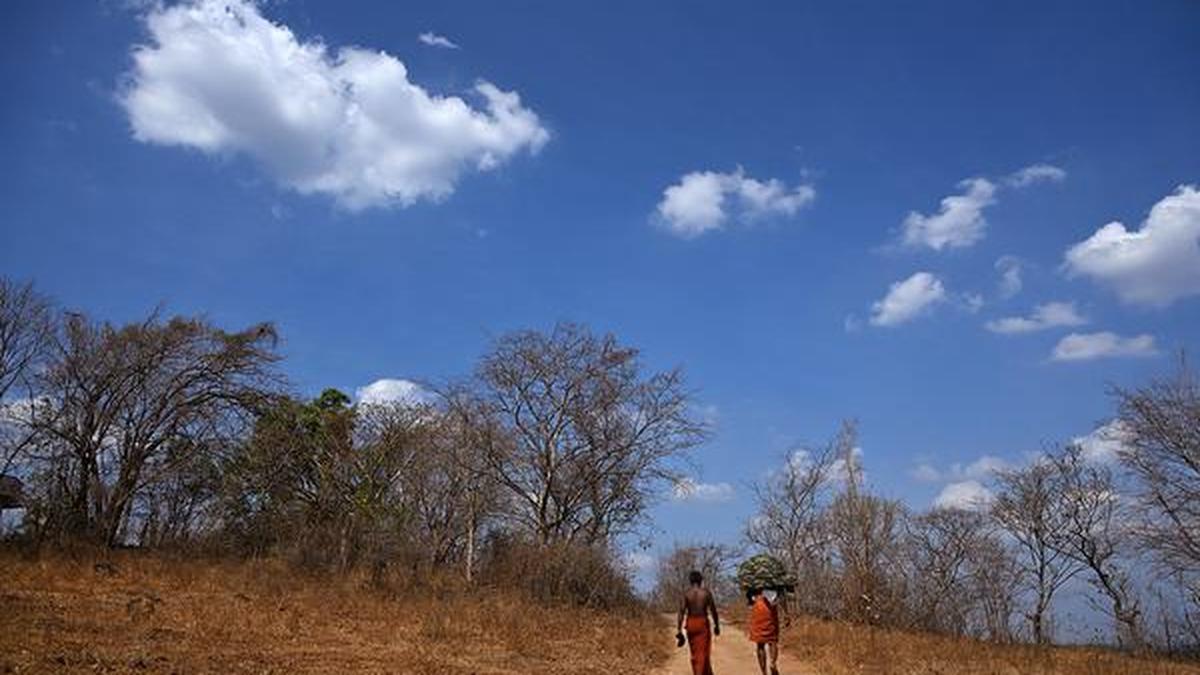 What is the value of attributing extreme events to climate change?