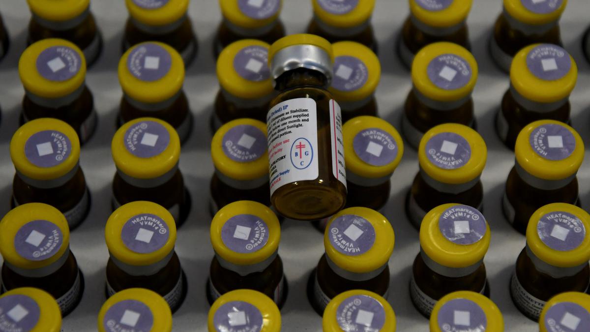 Does the BCG vaccine prevent Covid-19? No, says study