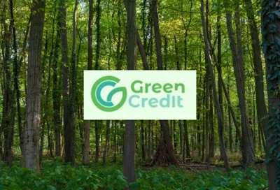 Madhya Pradesh Leads the Green Credit Programme: A Model for Environmental Conservation