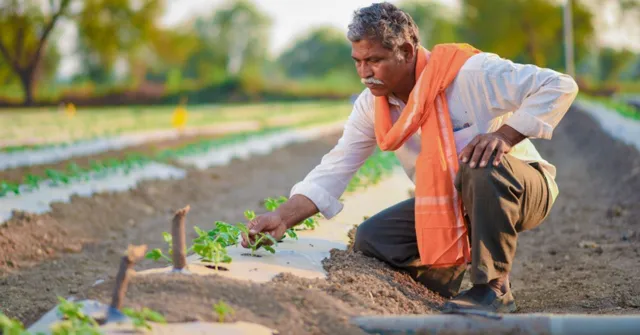Karnataka Krushi Aranya Protsaha Yojane: Agroforestry Initiative for Farmers