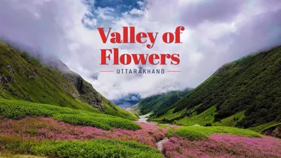 Uttarakhand's Valley of Flowers to Open for Trekkers in June 2024
