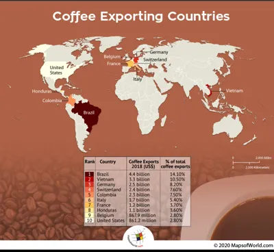 Top 10 Coffee-Producing Countries in the World 2024