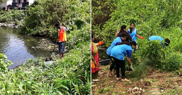 Bombay High Court Orders Restoration of Charkop Pond to Protect Mangroves