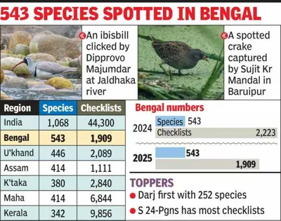 Bengal Leads India in Bird Count for Third Consecutive Year