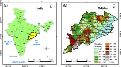 Odisha: The Leading Producer of Jackfruit in India