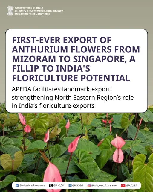 First Export of Anthurium Flowers from Mizoram to Singapore by APEDA