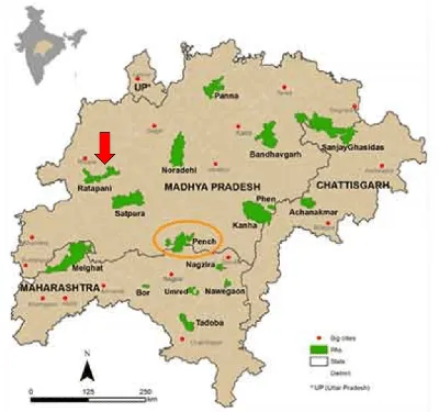 Ratapani Wildlife Sanctuary to be Declared a Tiger Reserve