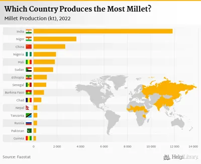 Top 10 Millets Producing Countries in the World 2024