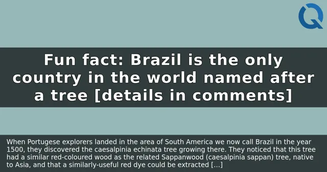 Brazil: The Only Country Named After a Tree