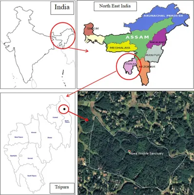 रोवा वन्यजीव अभयारण्य: उत्तर त्रिपुरा का एक छिपा हुआ खजाना