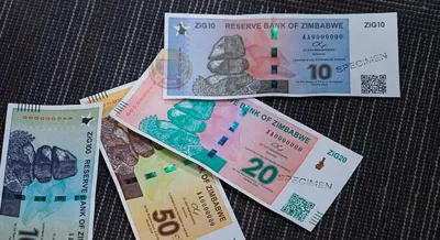 Zimbabwe Launches New Currency ZiG Amid Currency Crisis