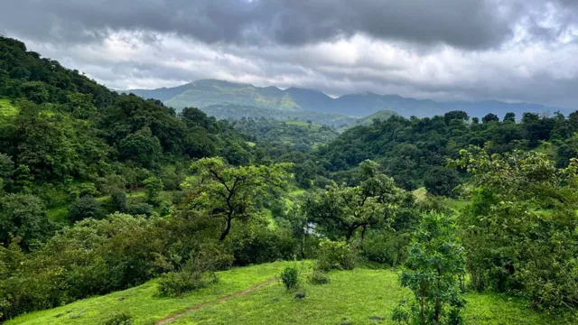 Mahadev Koli Tribe's Traditional Knowledge Overlooked in Climate Resilience Efforts