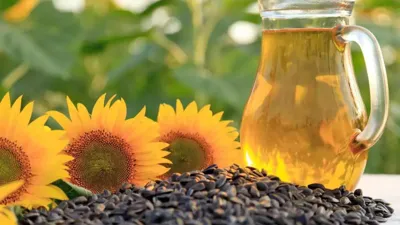 तिलहन उत्पादन बढ़ाने के लिए राष्ट्रीय मिशन