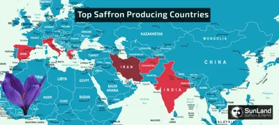 Top 10 Saffron-Producing Countries in the World