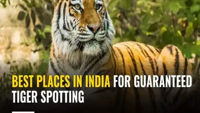 छत्तीसगढ़ में नया टाइगर रिजर्व मंजूर