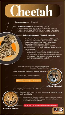 India and Kenya Collaborate on Cheetah Reintroduction Project