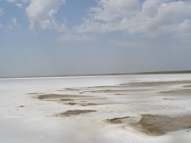 India Launches First-Ever Soil Texture Map