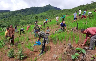 Van Mahotsav Programme: Enhancing Green Cover with the Miyawaki Method