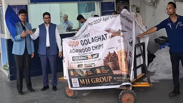 Assam Exports First Legal Agarwood Chips to Saudi Arabia and UAE
