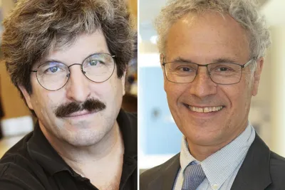 Nobel Prize in Medicine 2024: Victor Ambros and Gary Ruvkun's Discovery of MicroRNA