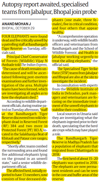 Four elephants in Bandhavgarh Reserve dead, five critically ill