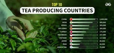 Top 10 Fish Producing Countries in the World 2024