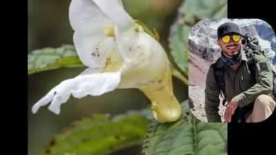 New Himalayan Plant Named After Mountaineer Nirmal Purja