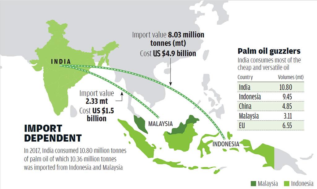 Indonesia’s palm oil export ban