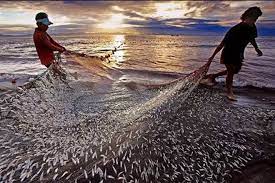 Union Cabinet approves new fisheries scheme