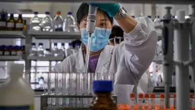 Discovery of HKU5-CoV-2: A New Bat Coronavirus with Human Cell Infectivity