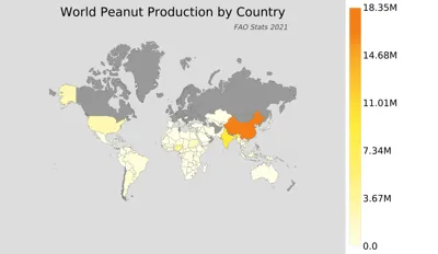 Global Peanut Production: Insights into the Top Producing Countries