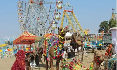 Beneshwar Fair 2025: A Celebration of Tribal Culture