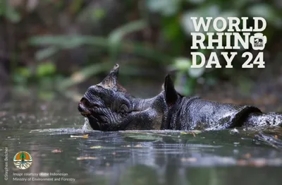 World Rhino Day: Celebrating and Conserving Rhino Species