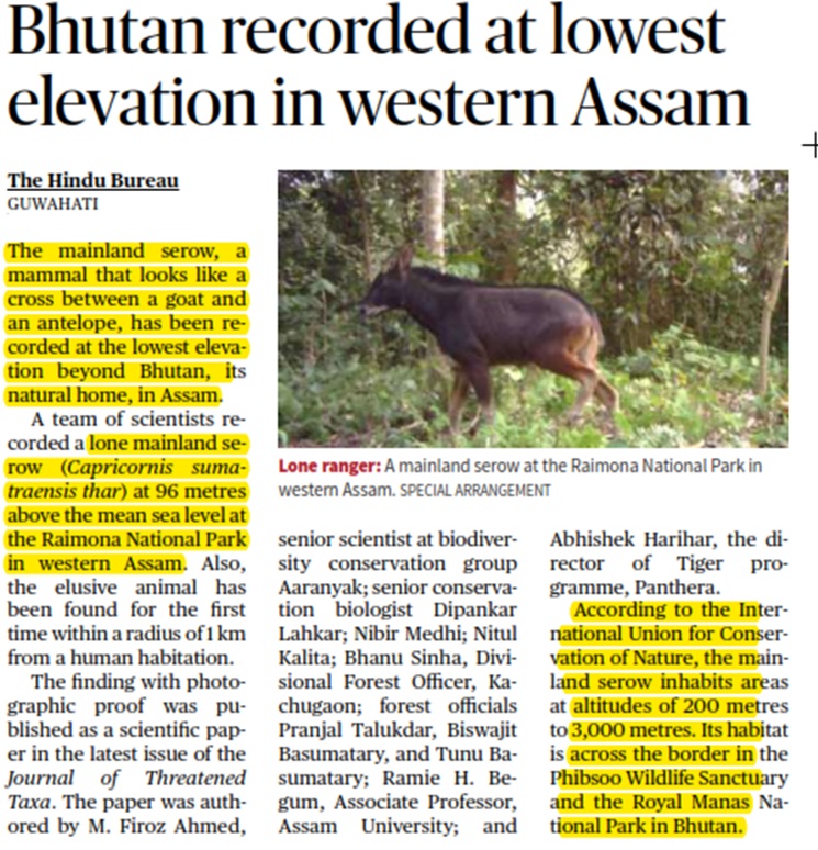 Antelope-like mammal from Bhutan recorded at lowest elevation in western Assam