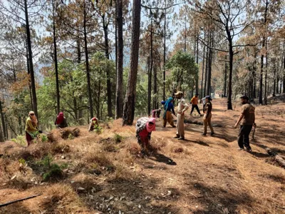 Uttarakhand's Advanced Forest Fire App: A Technological Leap in Fire Mitigation