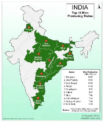 Top 10 Rice-Producing States in India for 2024