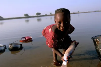Niger Becomes First African Country to Eliminate Onchocerciasis (River Blindness)
