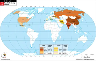 Top Pumpkin Producing Countries in the World