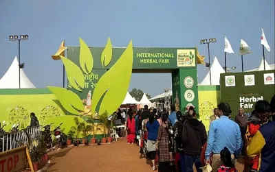 10th International Forest Fair: Empowering Women and Promoting Sustainability