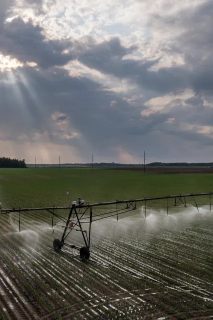 Farmers Now Self-Report Crop Details via Mobile App