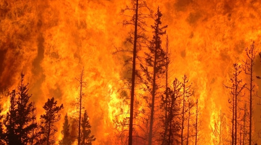 Why 2023 was the warmest year on record, and what happens now