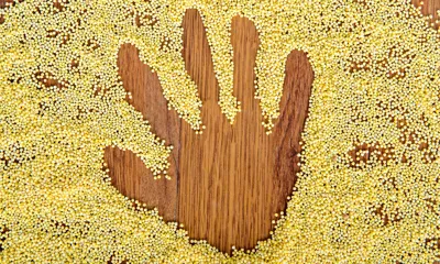 The International Year of Millets 2023: Key Insights and Achievements