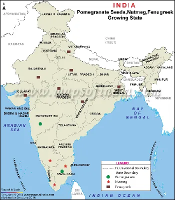 Top Nutmeg Producing States in India: A Comprehensive Guide