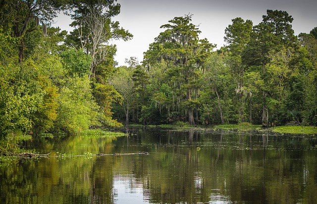 Wetlands of India Portal launched